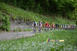 Le peloton sur la première montée de la Côte de l'Etang de Ry (323x)