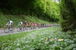 Le peloton sur la première montée de la Côte de l'Etang de Ry (2) (291x)