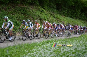 Le peloton sur la première montée de la Côte de l'Etang de Ry (3) (299x)