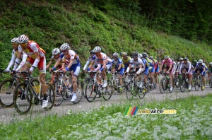 Le peloton sur la première montée de la Côte de l'Etang de Ry (4) (314x)