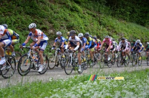 Le peloton sur la première montée de la Côte de l'Etang de Ry (5) (316x)