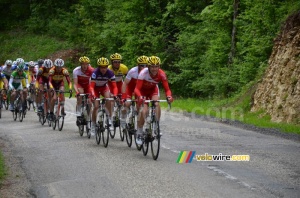 L'équipe Cofidis en tête du peloton (299x)