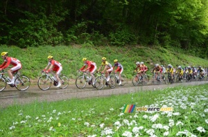 Le peloton au 3ème passage sur la Côte de l'Etang de Ry (274x)