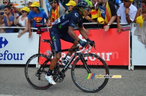 Nairo Quintana (Movistar Team) (319x)