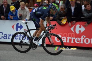Alejandro Valverde (Movistar) (486x)