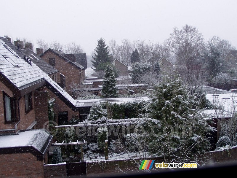 Uitzicht vanuit ons huis (Ulvenhout)