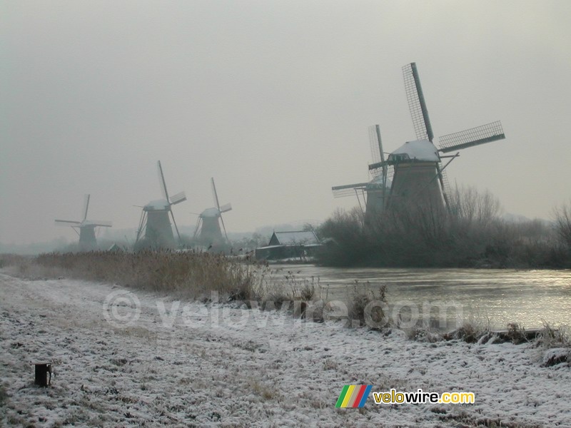 Molens in Kinderdijk