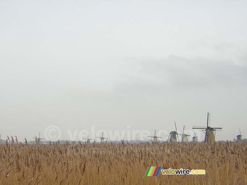 Molens in Kinderdijk