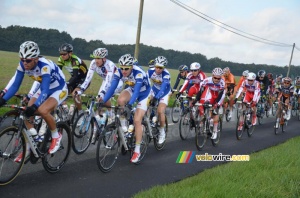 Le peloton près de La Jousselinière (2) (348x)