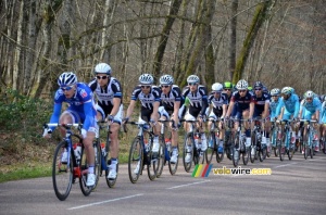 Le peloton dans la Forêt des Dames (326x)