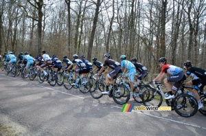 Le peloton dans la Forêt des Dames (2) (272x)