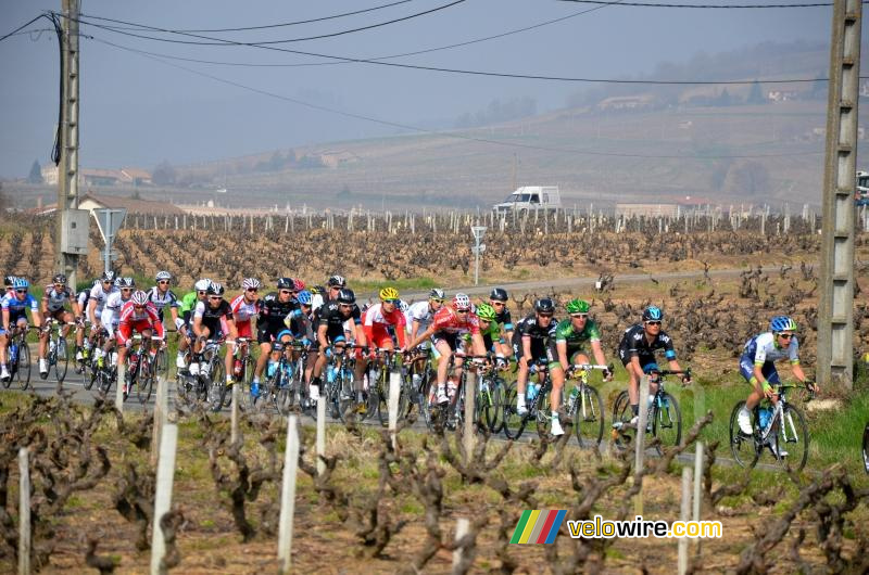 Het peloton rijdt Juliénas uit