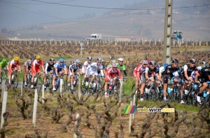 Le peloton à la sortie de Juliénas (2) (540x)