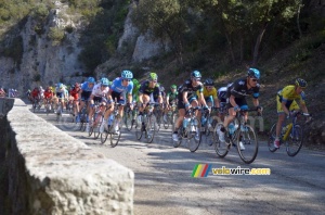 Le peloton dans la descente de la Côte de Bonnieux (538x)