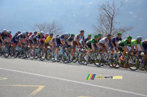 Le peloton à Saint-Martin-du-Var (482x)