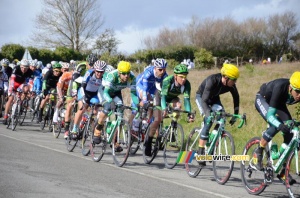 The peloton in the 2nd lap (463x)