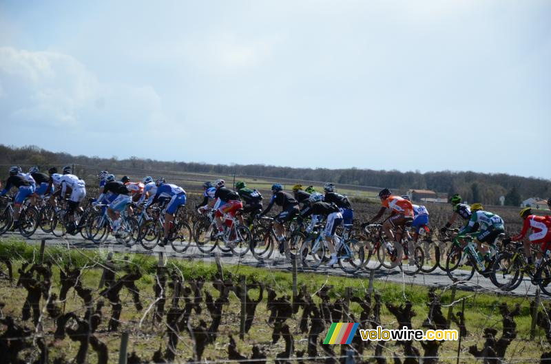 Het peloton in de 4de ronde (2)