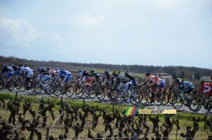 The peloton in the 4th lap (2) (676x)