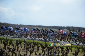 Le peloton au 4ème tour (2) (511x)