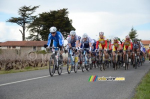 Le peloton en chasse derrière les 12 (476x)