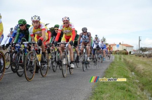 Le peloton en chasse derrière les 12 (2) (487x)