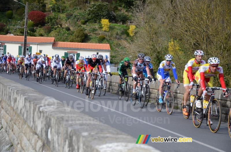 Het peloton in de 9de ronde