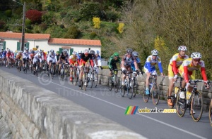 Le peloton dans le 9ème tour (357x)