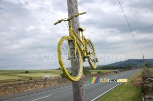 A yellow bike (339x)