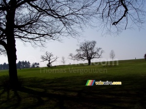 Des arbres dans un parc/parcours de golf à Bristol (213x)