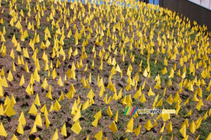 A field of yellow flags in Saint-Etienne (937x)