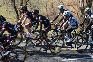 Warren Barguil, Koen de Kort, Roy Curvers & Tom Dumoulin dans le col du Beau Louis (730x)