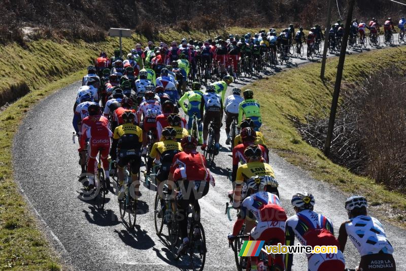 Het peloton op de col du Beau Louis
