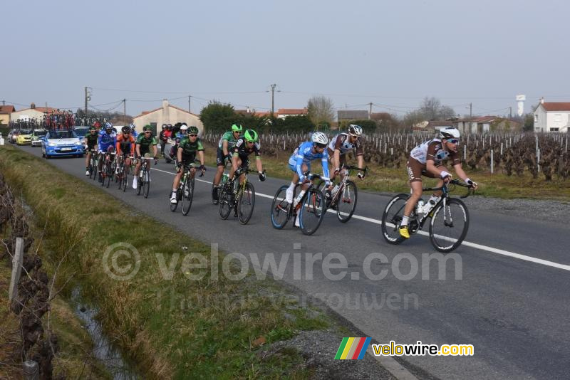 De kopgroep in de wijngaarden (2)