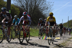 Le peloton dans le secteur de Saint-Python (524x)