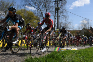 Le peloton à Warlaing (2) (478x)