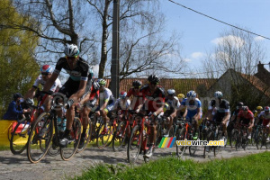 Le peloton à Warlaing (3) (518x)
