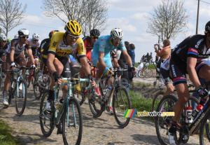 Le peloton à Mons-en-Pévèle (3) (513x)