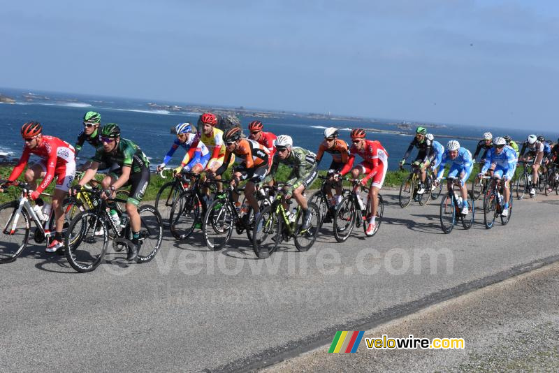 Het peloton aan de kust (2)