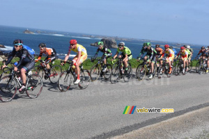 The peloton at the sea side (4) (702x)