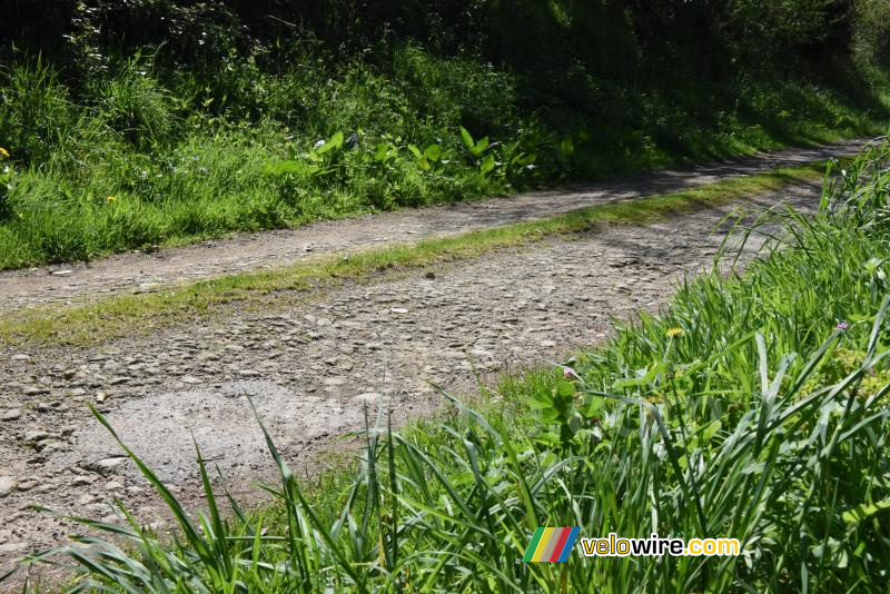 Ribin nummer 2 in Milizac