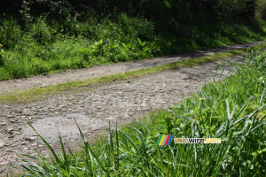 Le ribin numéro 2 à Milizac (720x)