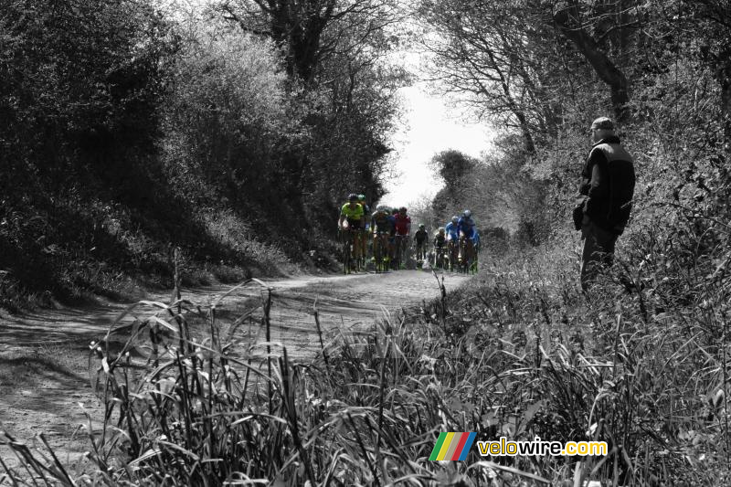 De kopgroep rijdt de ribin in Milizac op