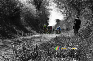 Le groupe de tête arrive dans le ribin à Milizac (781x)