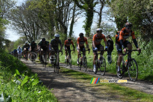 L'équipe Roompot en tête du peloton (679x)