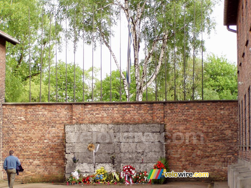 [Auschwitz] De executiemuur