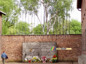 [Auschwitz] Le mur de la mort (729x)