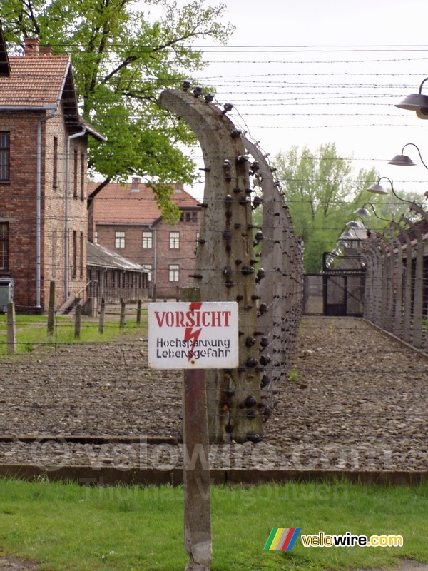 [Auschwitz]