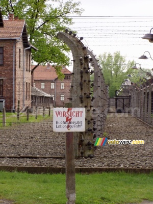 [Auschwitz] (438x)