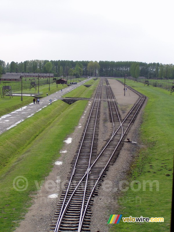 [Birkenau] De treinrails