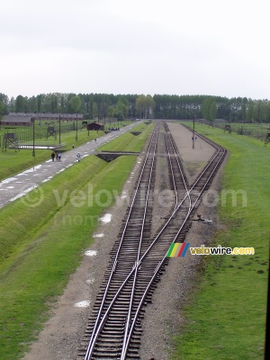 [Birkenau] Les rails de train (450x)